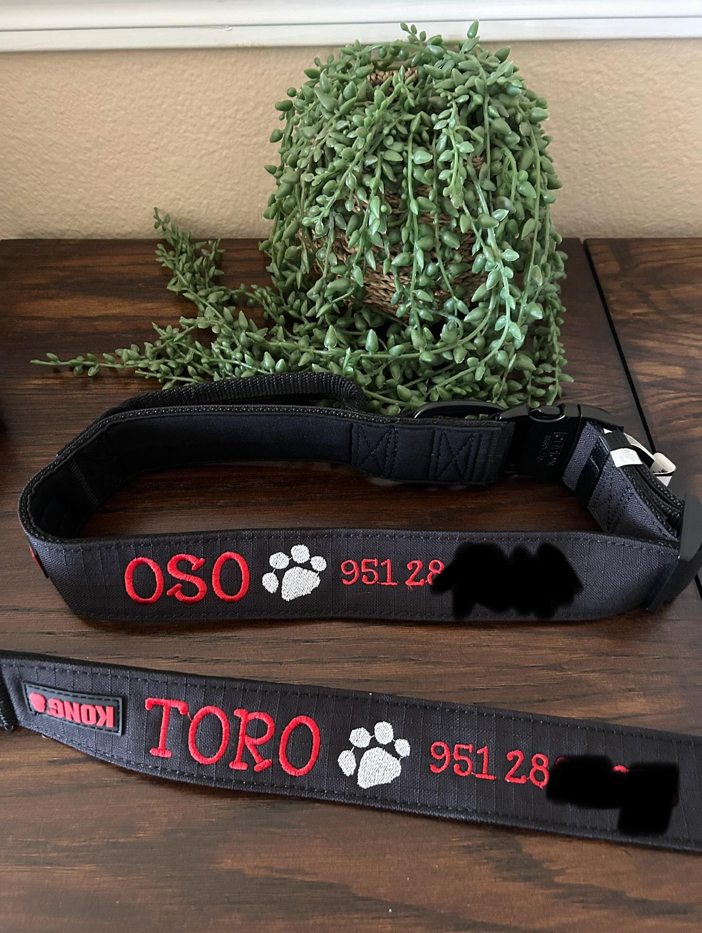 Personalized Dog Collar with Phone Number